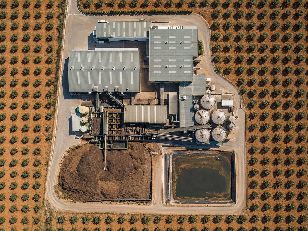 Vista aérea cenital de una almazara rodeada de olivar, con naves, silos, balsa y montón de orujo