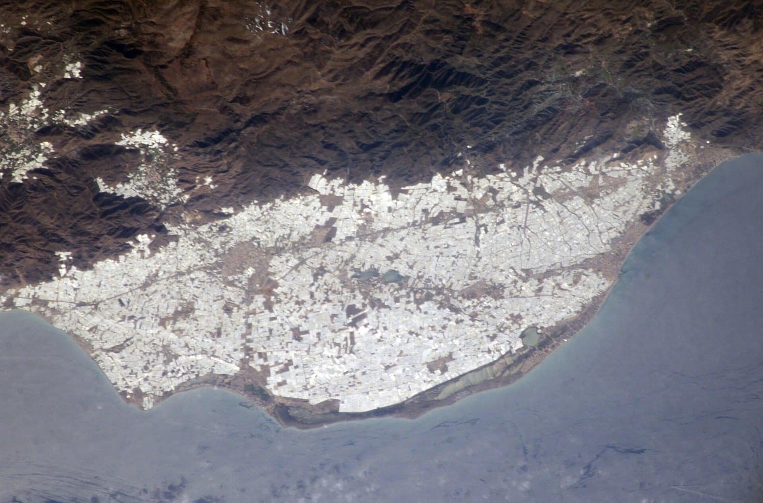Vista de satélite del mar de invernaderos de plástico del Campo de Dalías, Almería