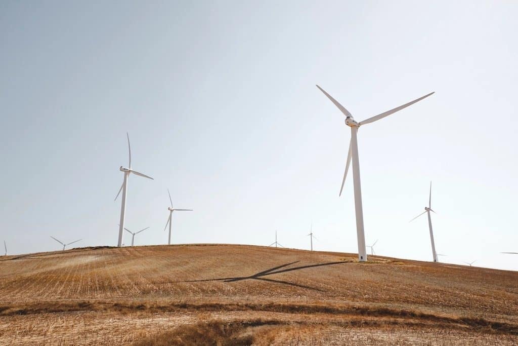 Aerogeneradores de un parque eólico en Cádiz sobre campo de cereal, vista desde el aire
